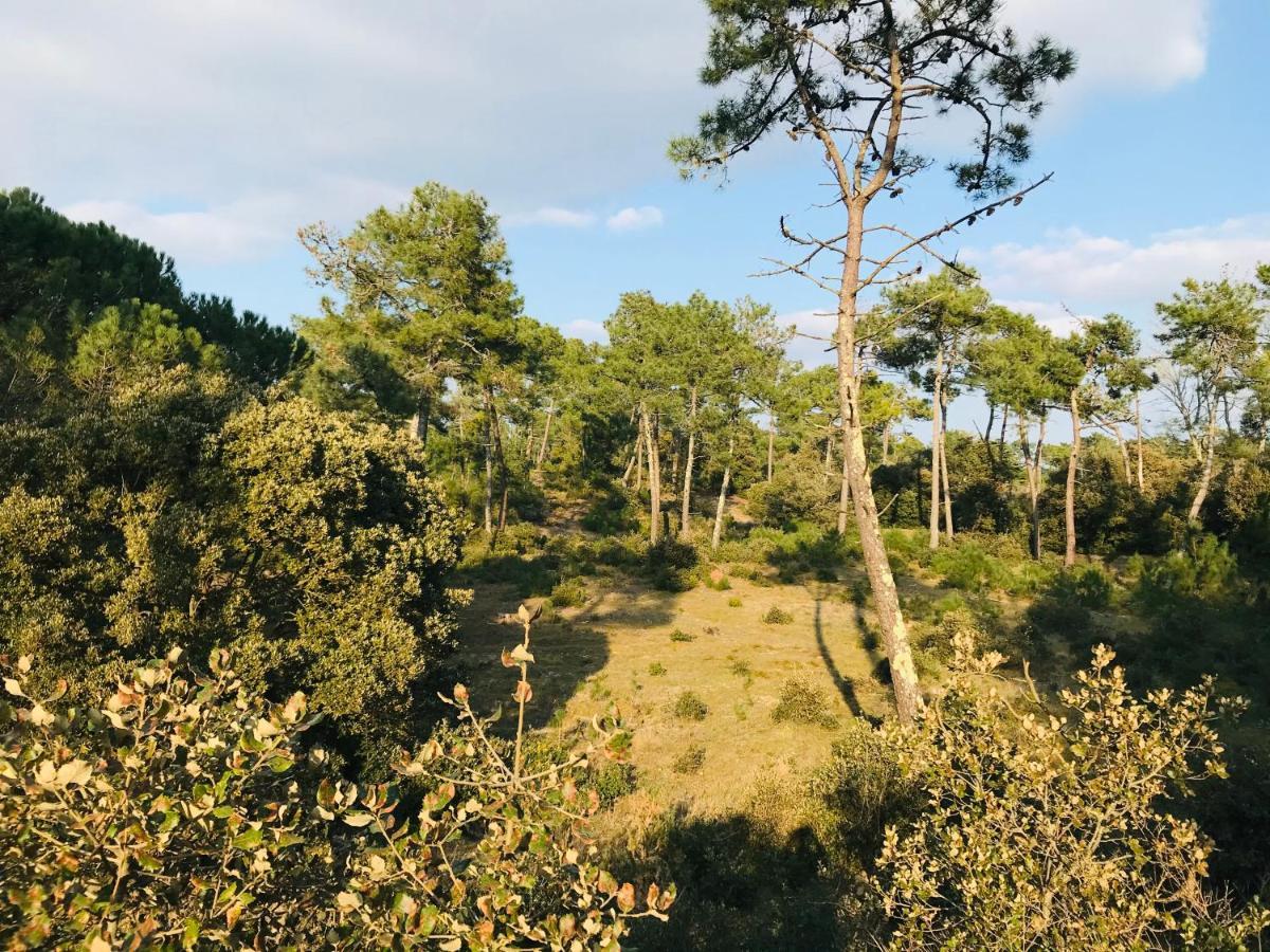 180° vue océan, T3 marin haut de gamme Saint-Jean-de-Monts Exterior foto